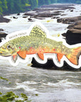 Brook Trout Sticker
