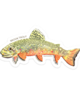 Brook Trout Sticker