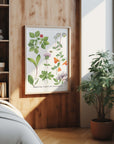 Medicinal Plants of Appalachia Art Print