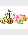 Gorgeous Gourds Art Print