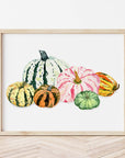 Gorgeous Gourds Art Print