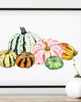 Gorgeous Gourds Art Print