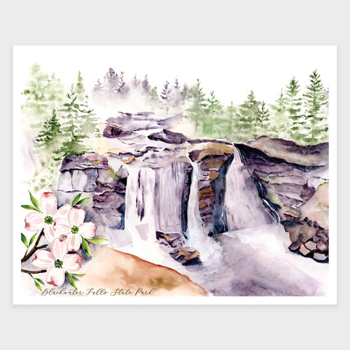Blackwater Falls State Park Art Print WV