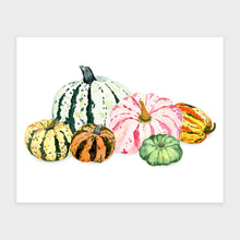 Load image into Gallery viewer, Gorgeous Gourds Art Print
