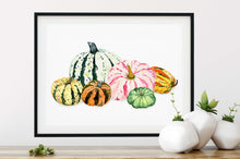 Load image into Gallery viewer, Gorgeous Gourds Art Print
