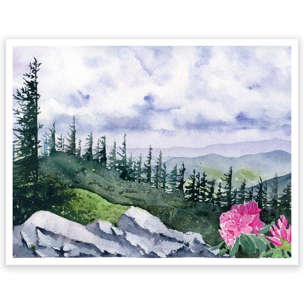 Dolly Sods Art Print