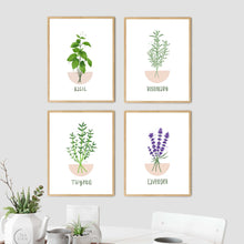 Load image into Gallery viewer, Herb Gallery Wall Set of 4
