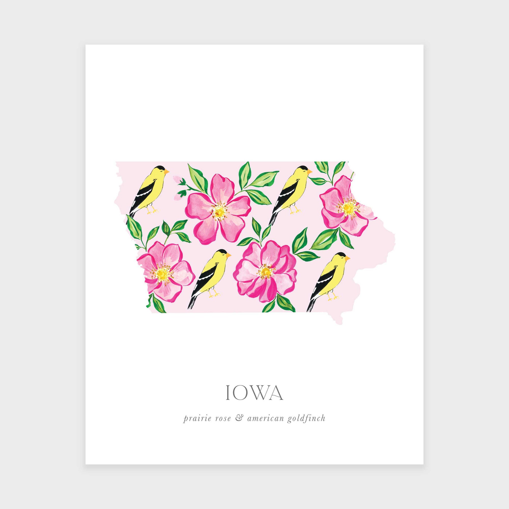 Iowa State Flower and Bird Art Print- Prairie Rose and American Goldfinch