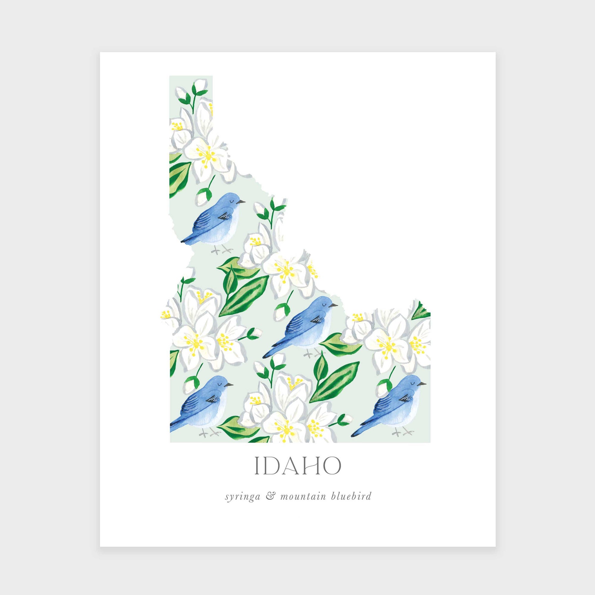 Idaho State Flower Art Print