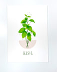 Basil Plant Art Print Printed with archival inks on cotton paper. Unframed Prints. Made in the USA.