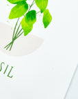 Green Basil Plant Art Print