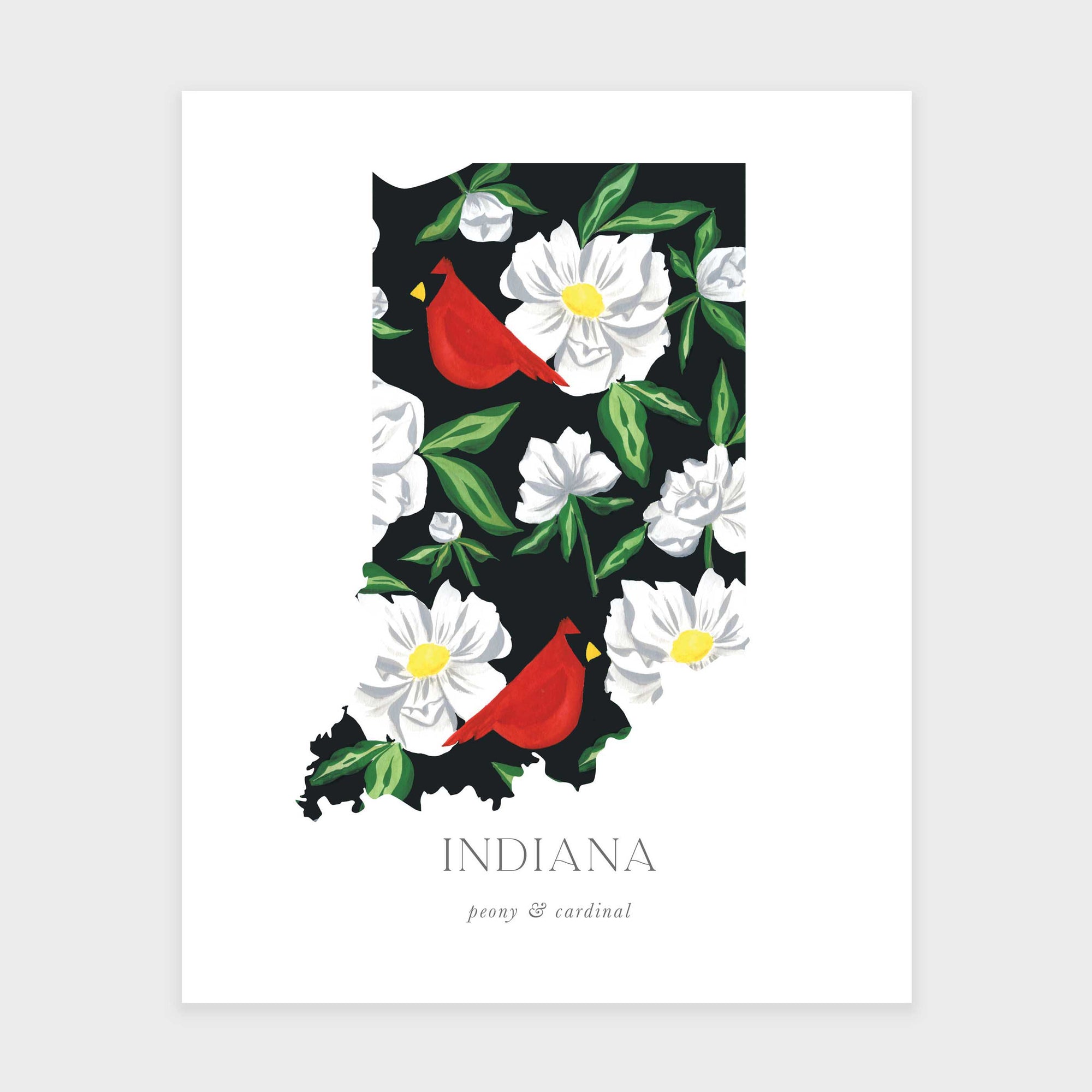 Indiana State Flower Art Print