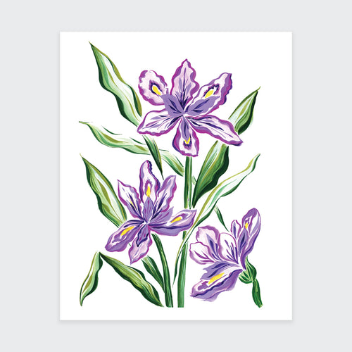 Purple Iris Flower Art Print