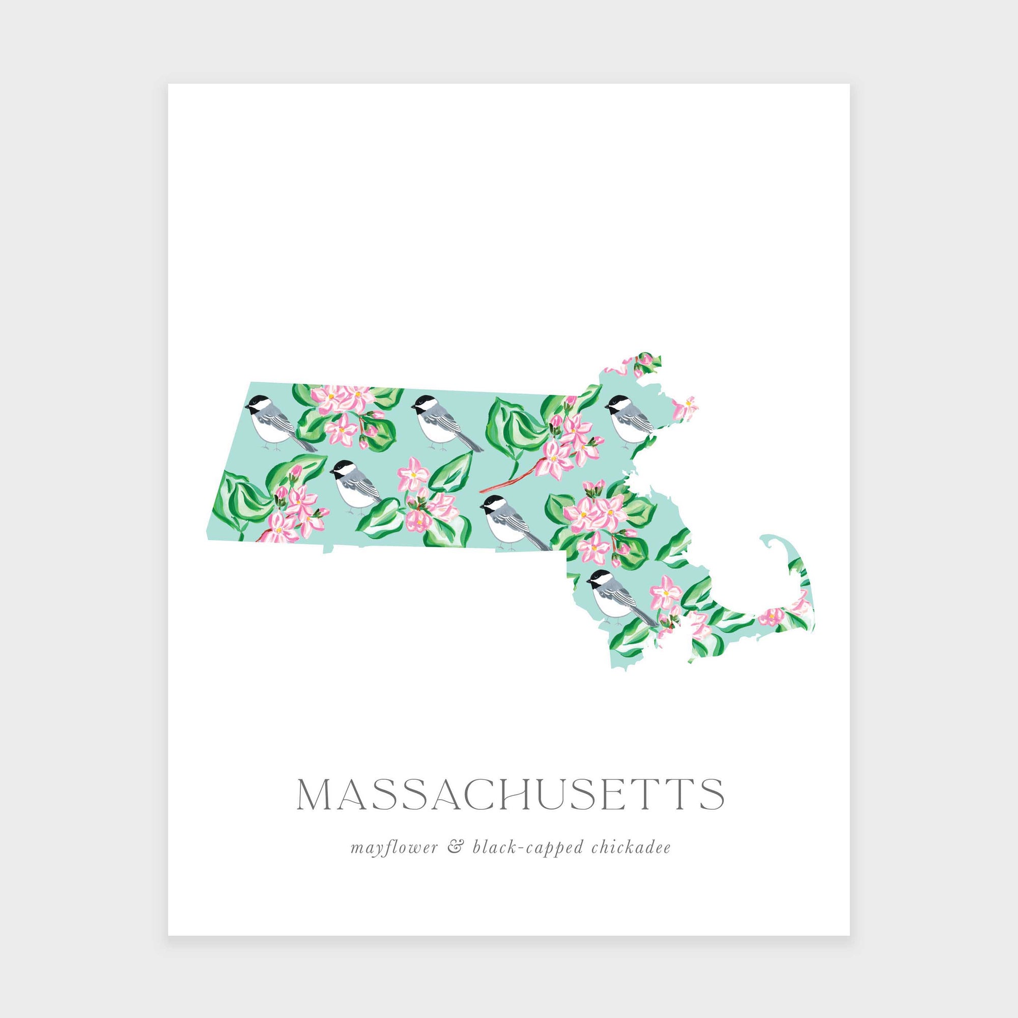 Massachusetts State Flower Art Print