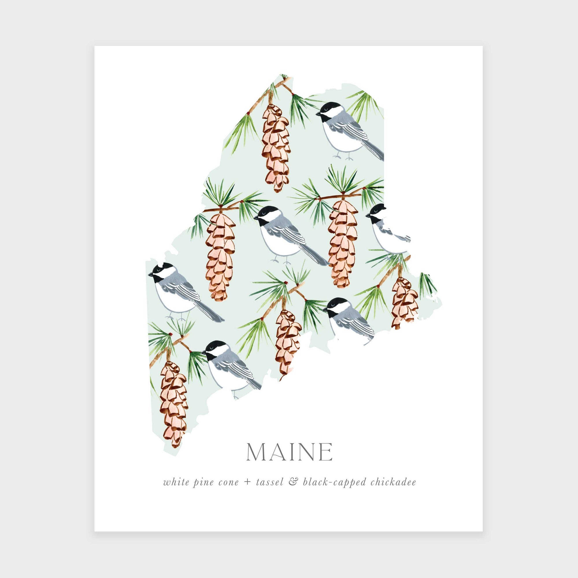 Maine State Flower Art Print