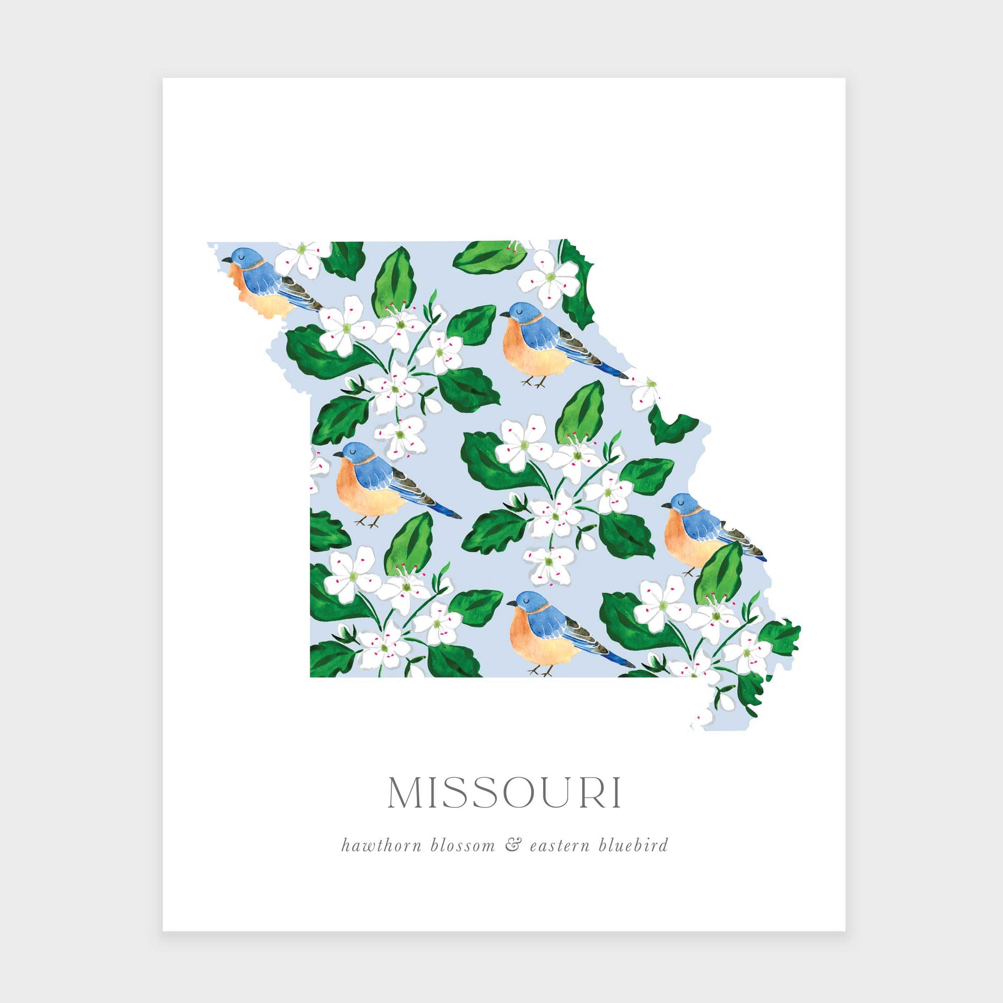 Missouri State Flower Art Print