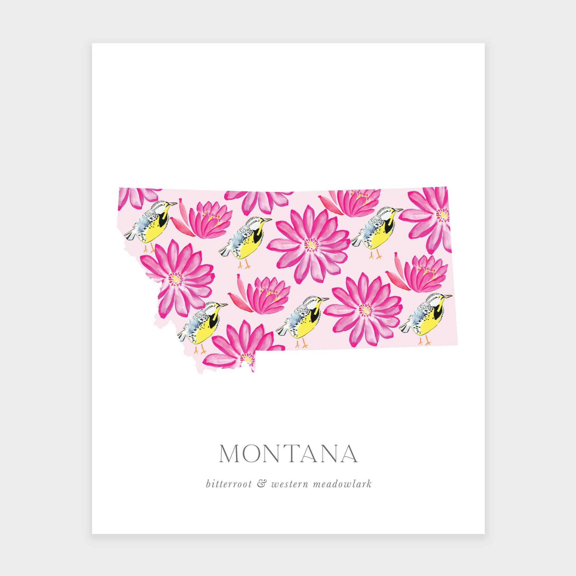 Montana State Flower Art Print