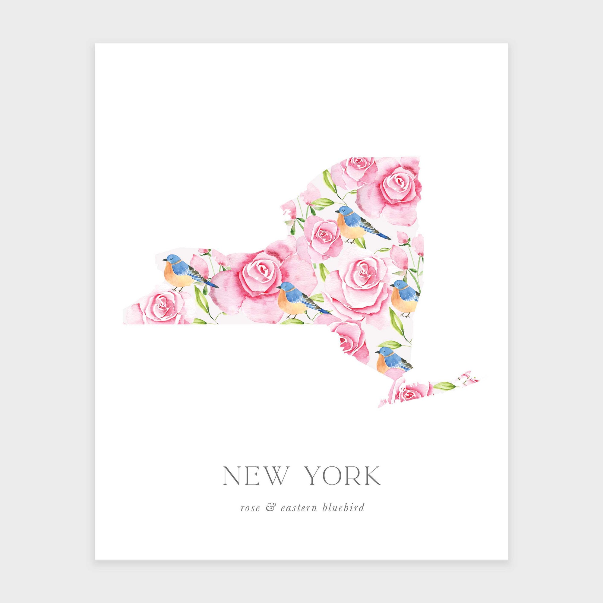 New York State Flower Art Print
