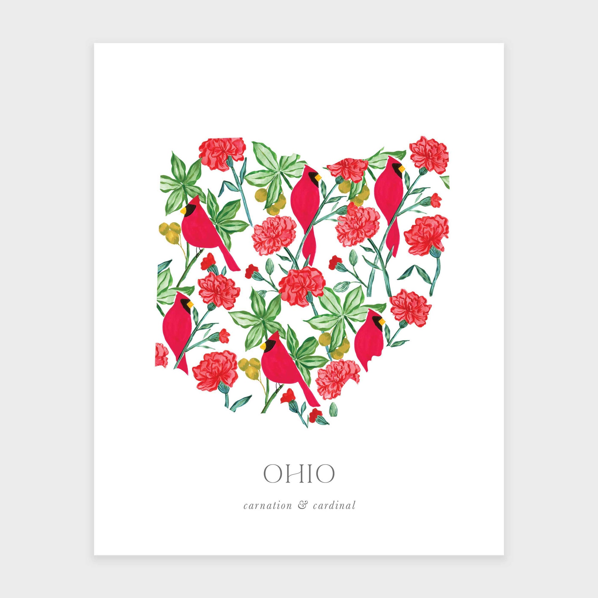 Ohio State Flower Art Print