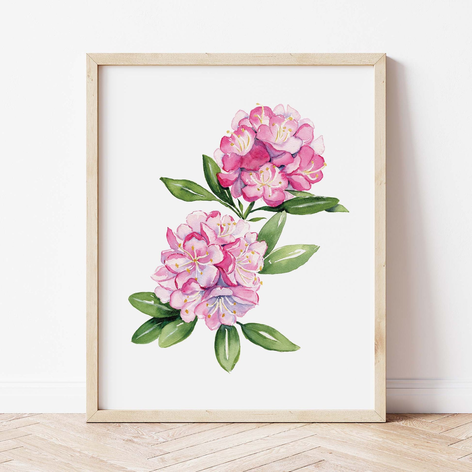 Pink Rhododendron Art Print – MarisaMade