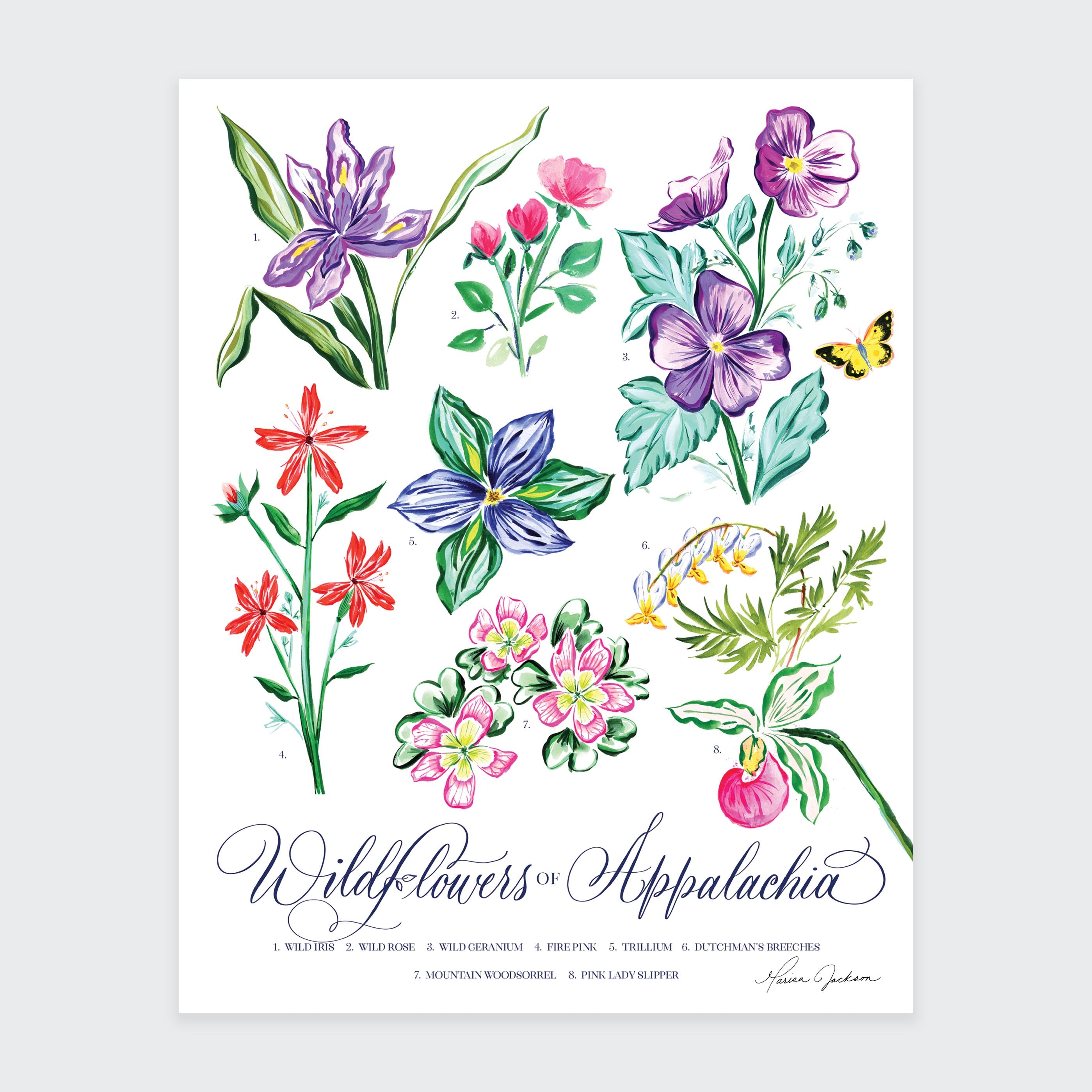 BOOTLEG CD 花柄アートワーク Appalachian Wildflower Art Print – MarisaMade