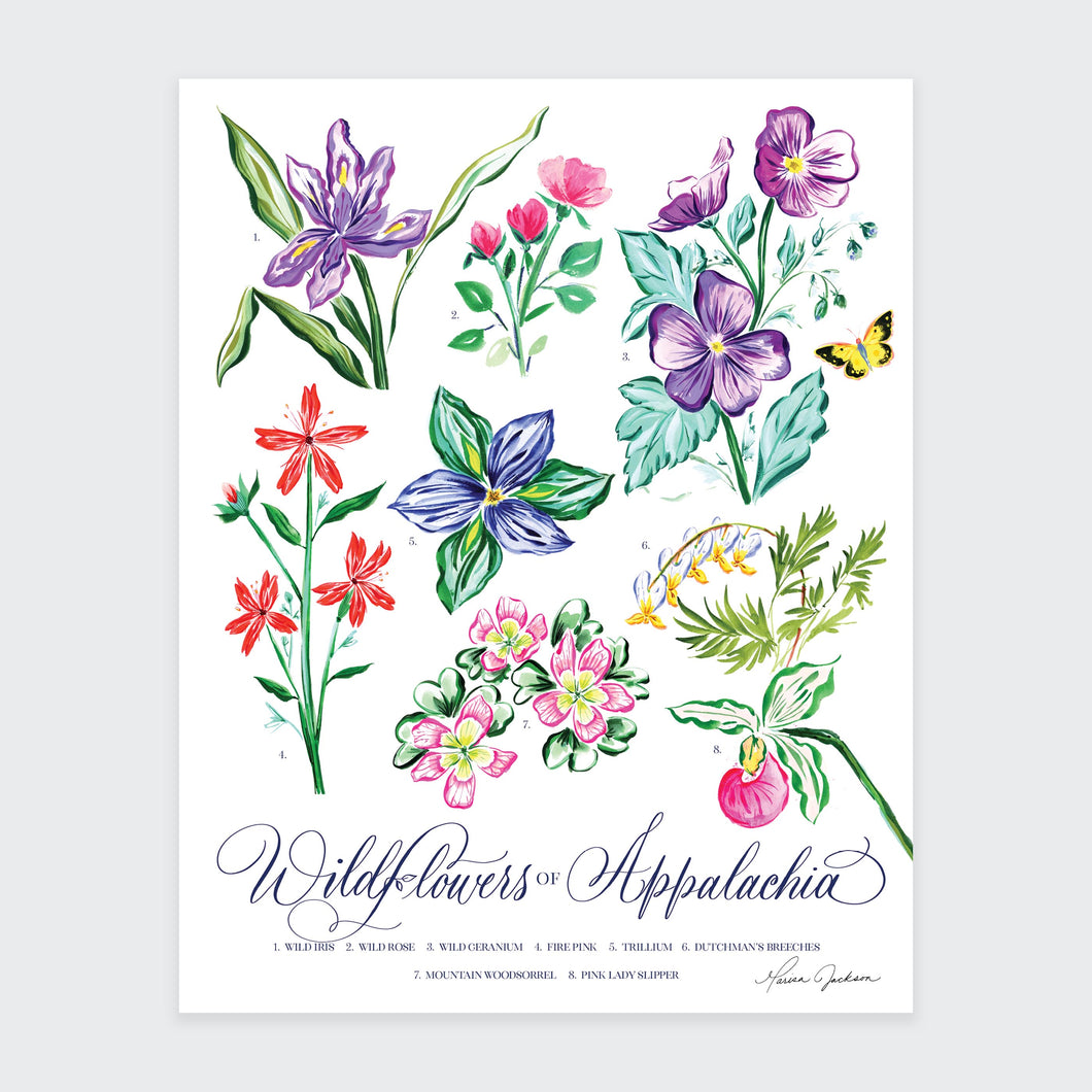 Appalachian Wildflower Art Print
